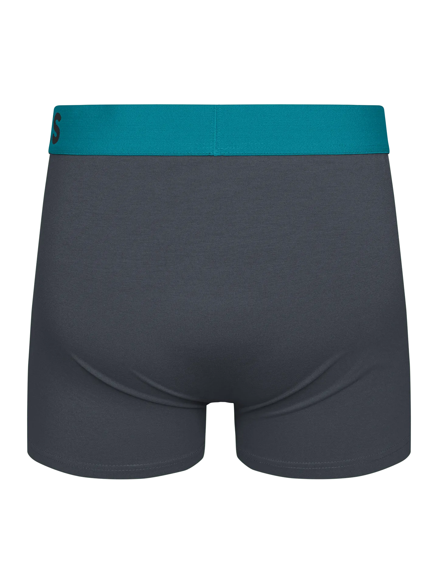 Antracietgrijze herentrunks - Image 2