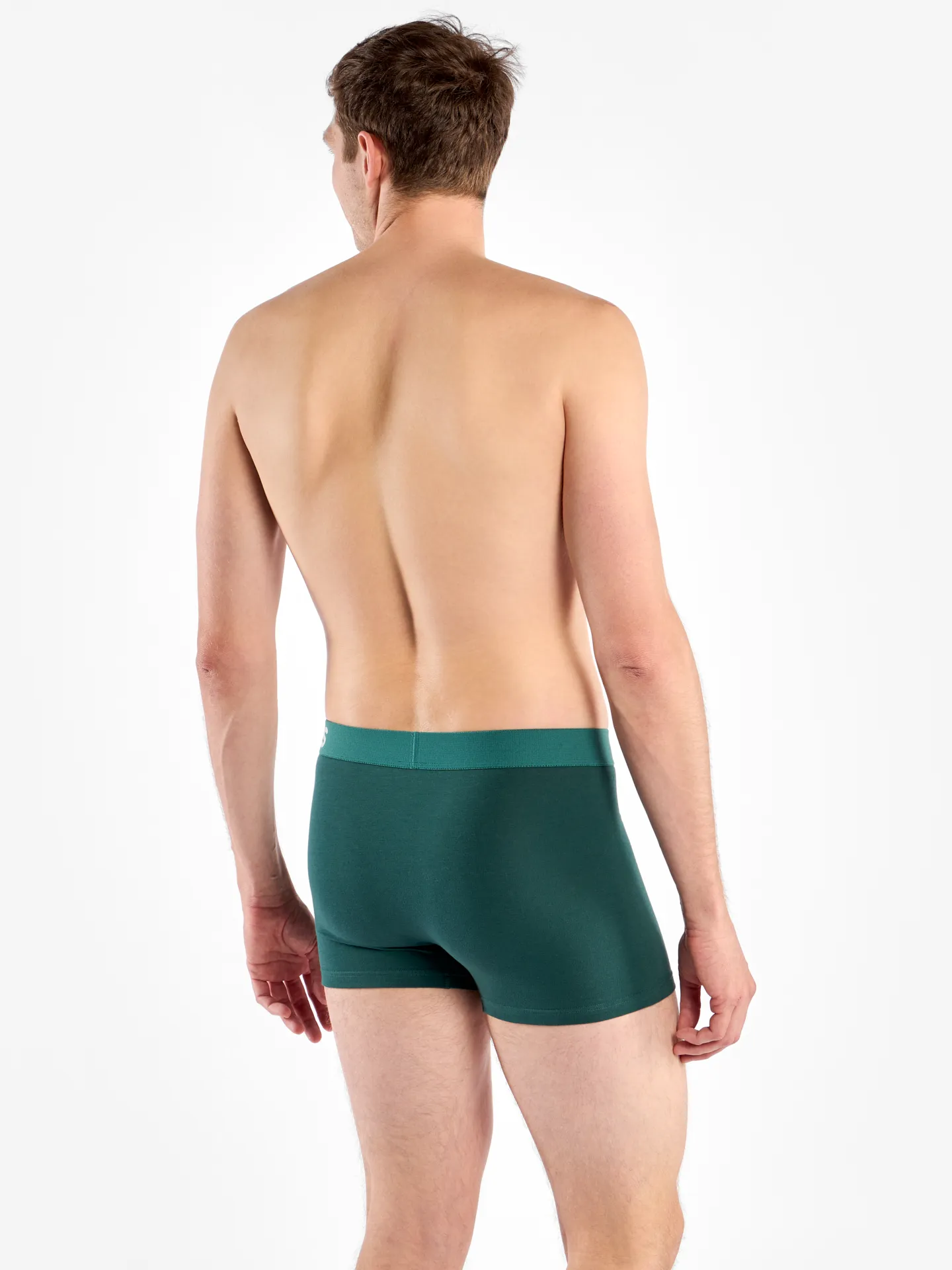 Smaragdgroene herentrunks - Image 3