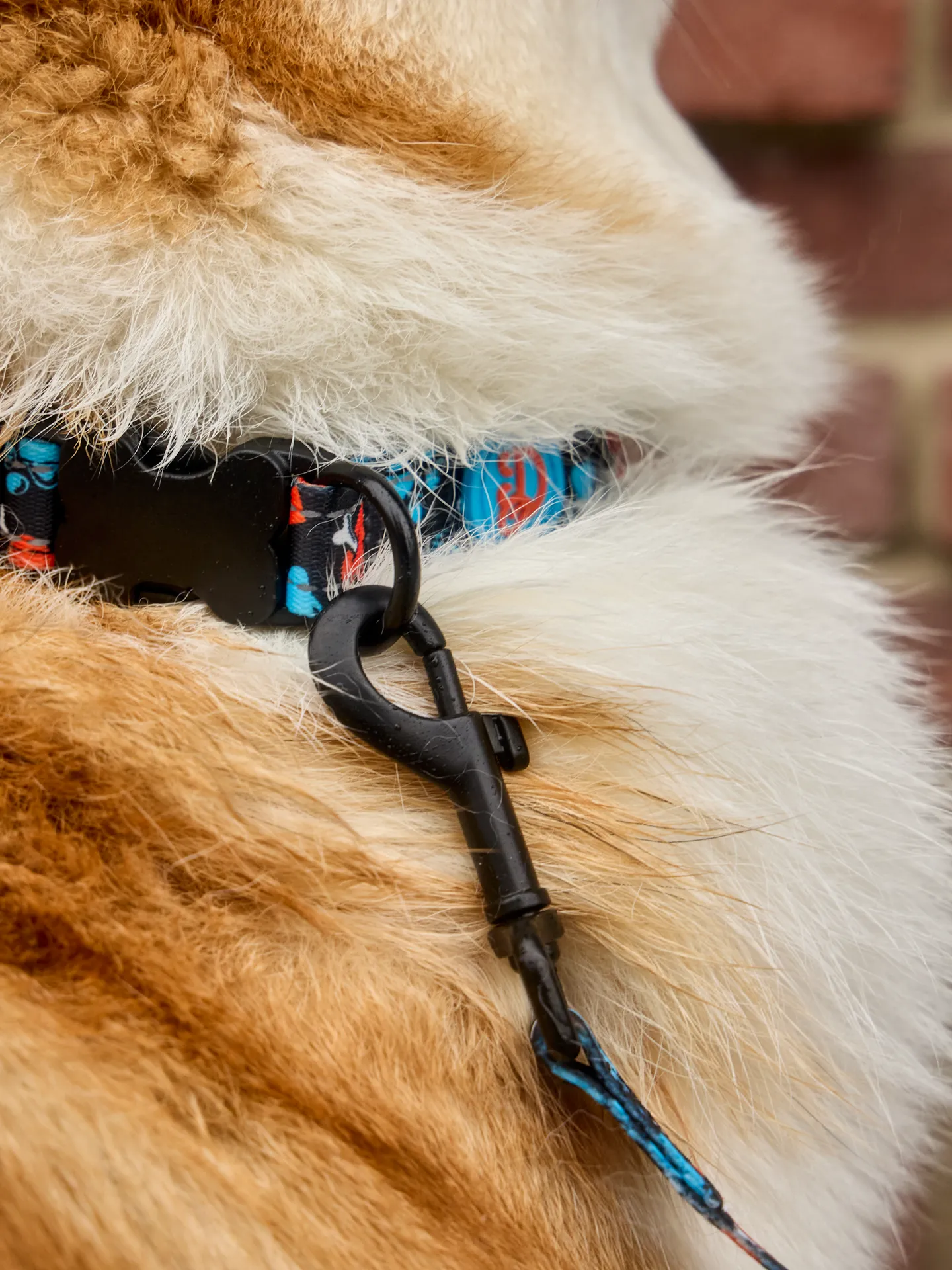 Hondenhalsband Hartjes en pootjes - Image 5