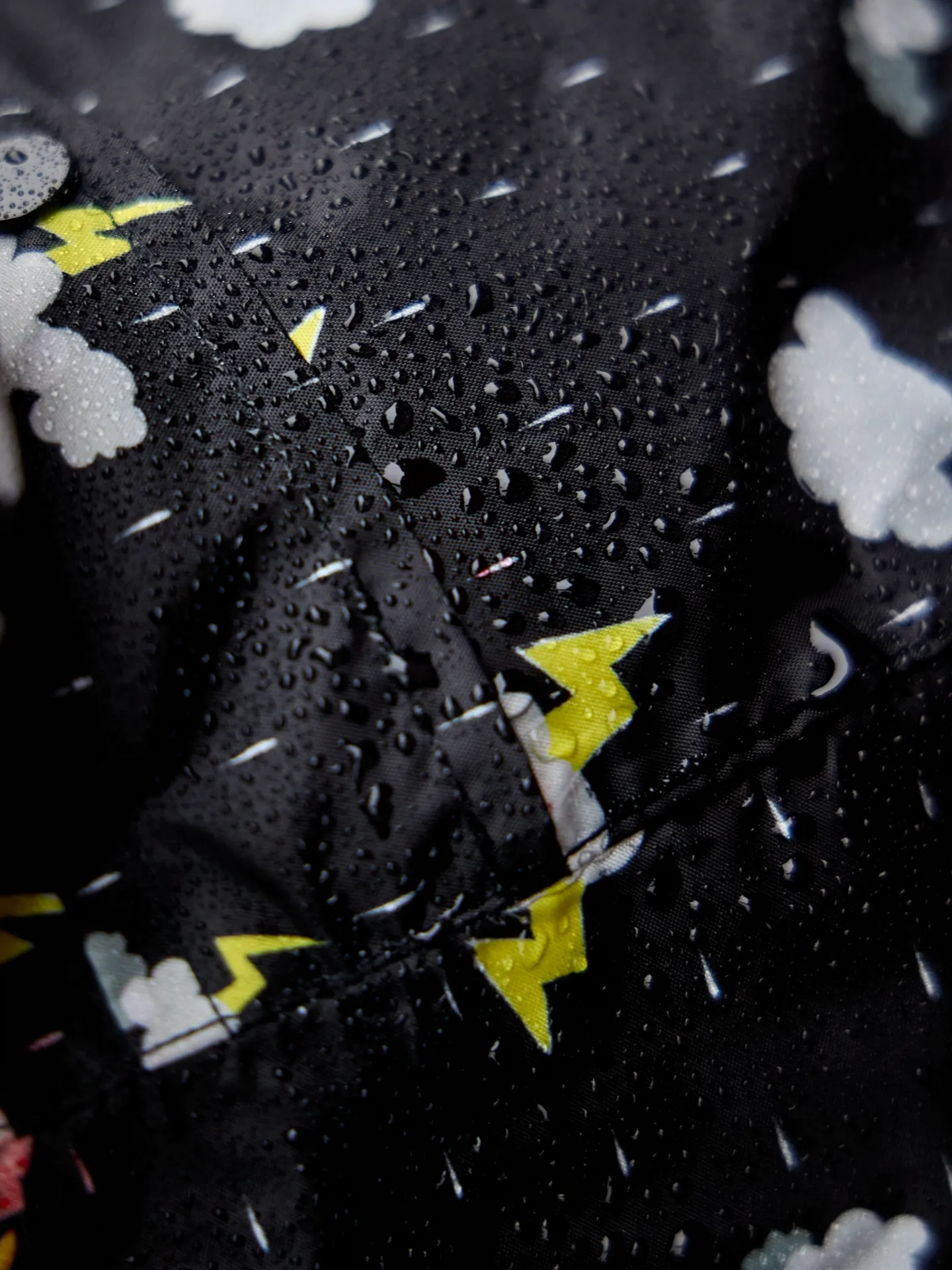 Hondregenjas Storm - Image 9
