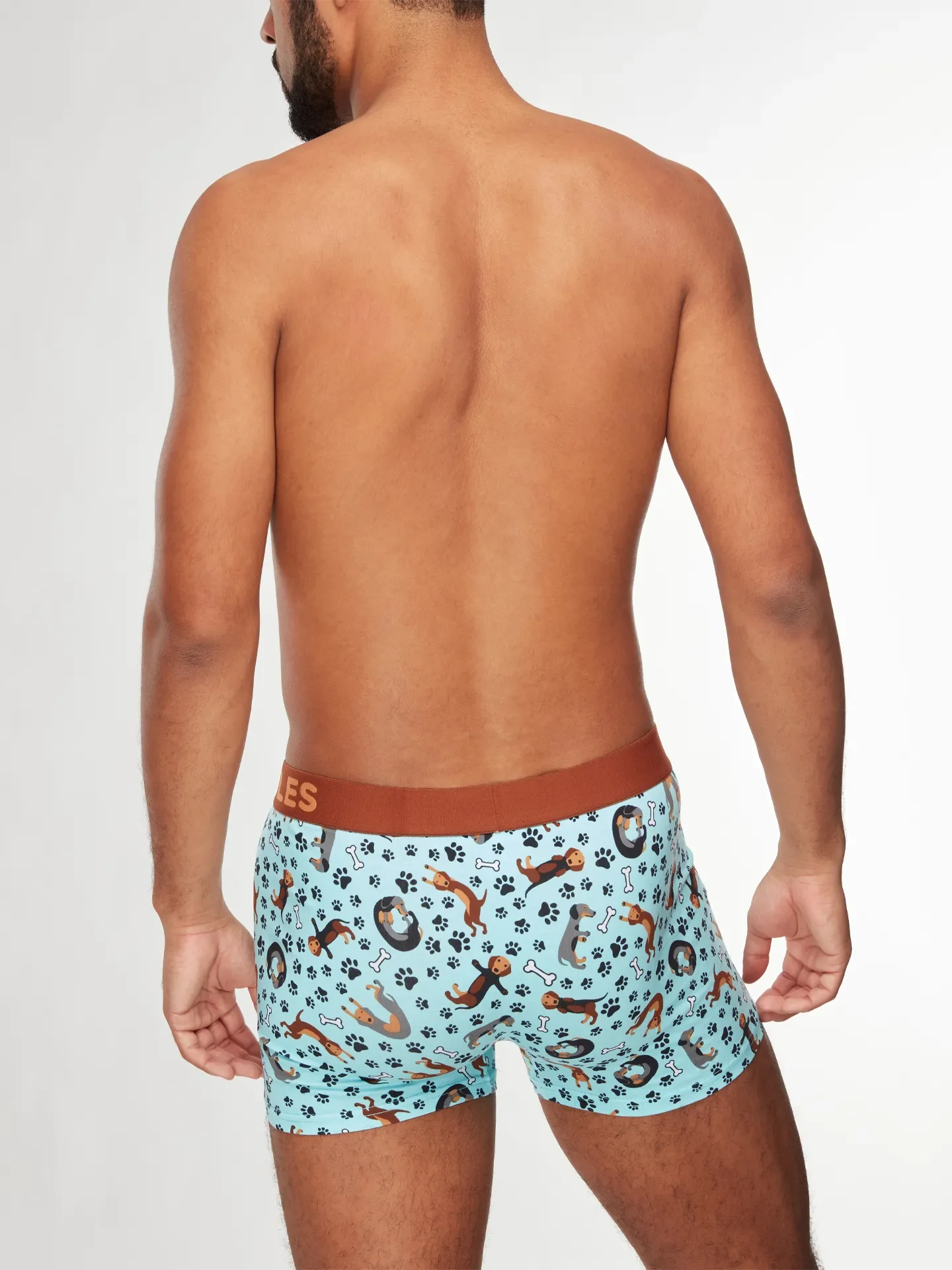 Vrolijke herentrunks Teckels - Image 4