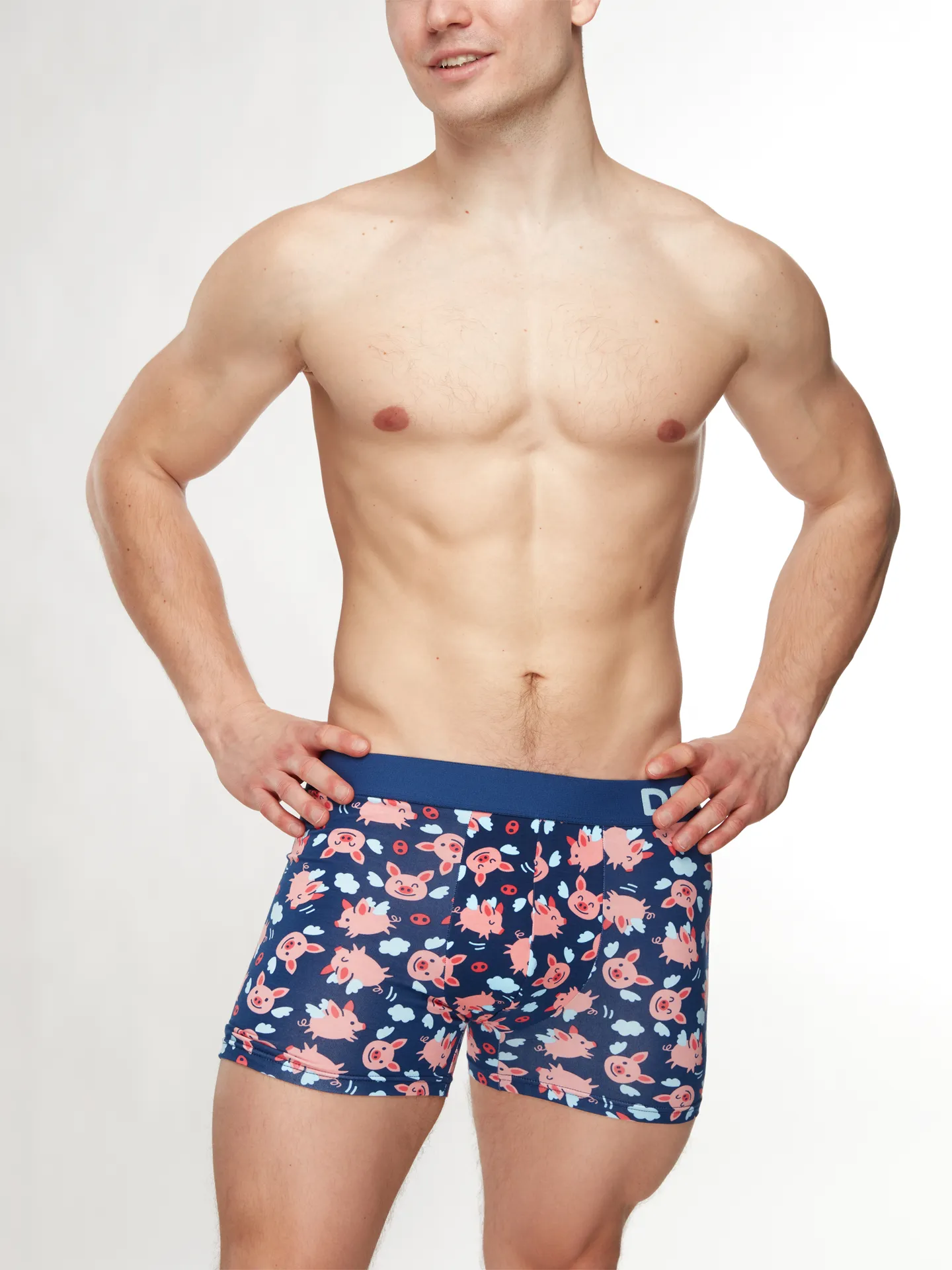Vrolijk herentrunks Vliegende varken - Image 3
