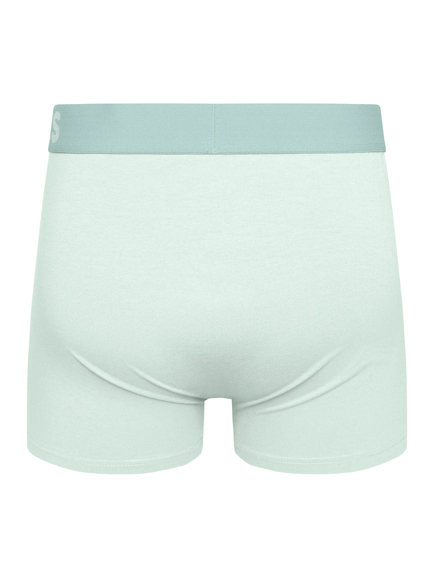 Herentrunks Mint groen - Image 2