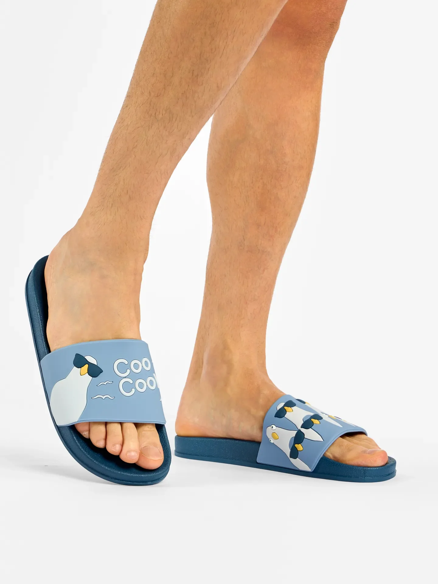 Vrolijke sliders Coole duiven - Image 5