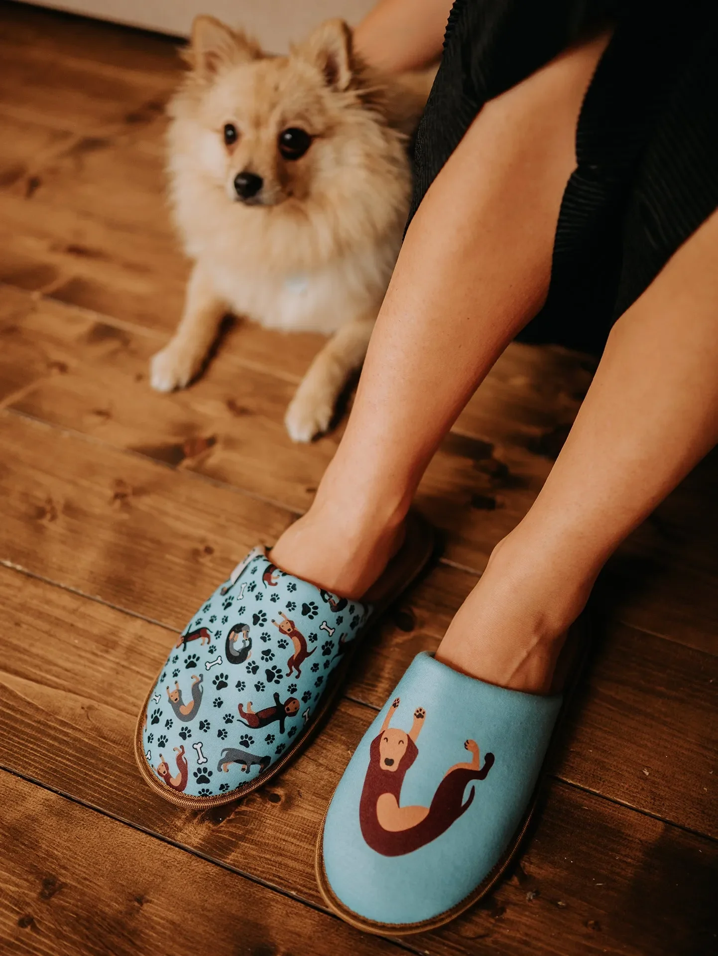 Vrolijke slippers Teckel - Image 5