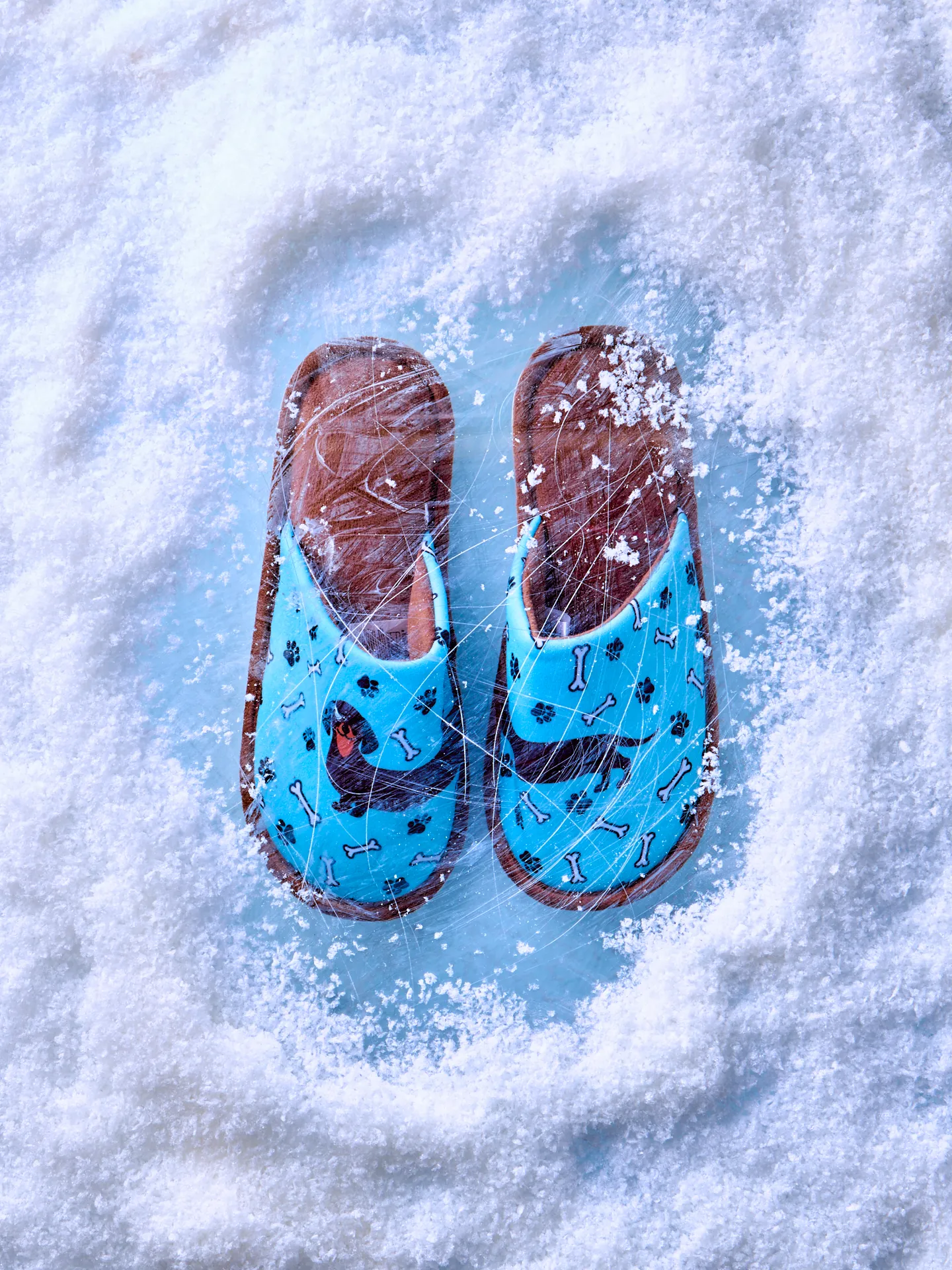 Vrolijke slippers Lange teckel - Image 6