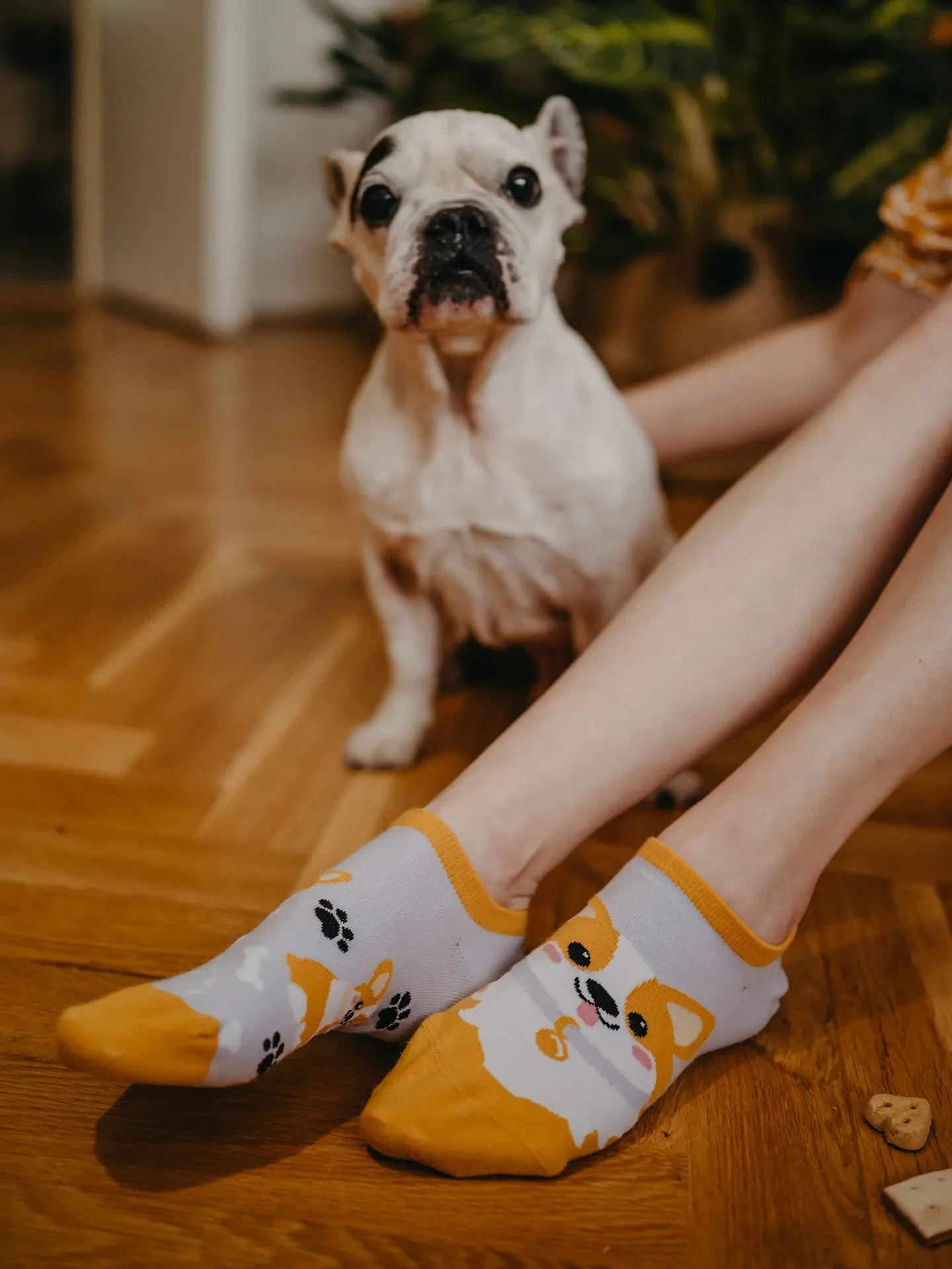 Vrolijke sneakersokken Corgi Dog - Image 4