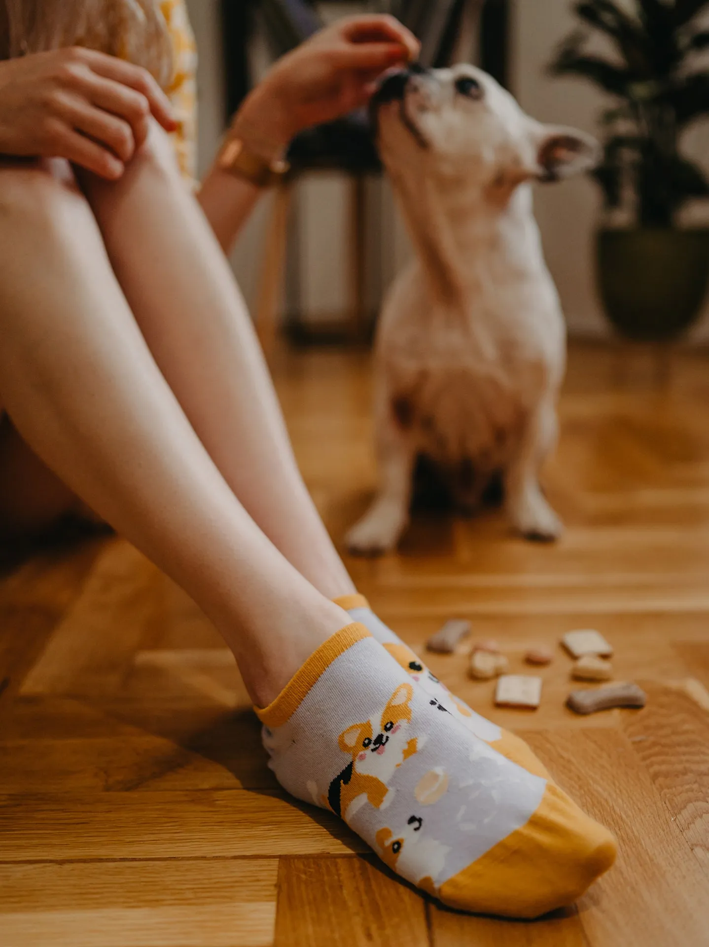 Vrolijke sneakersokken Corgi Dog - Image 5