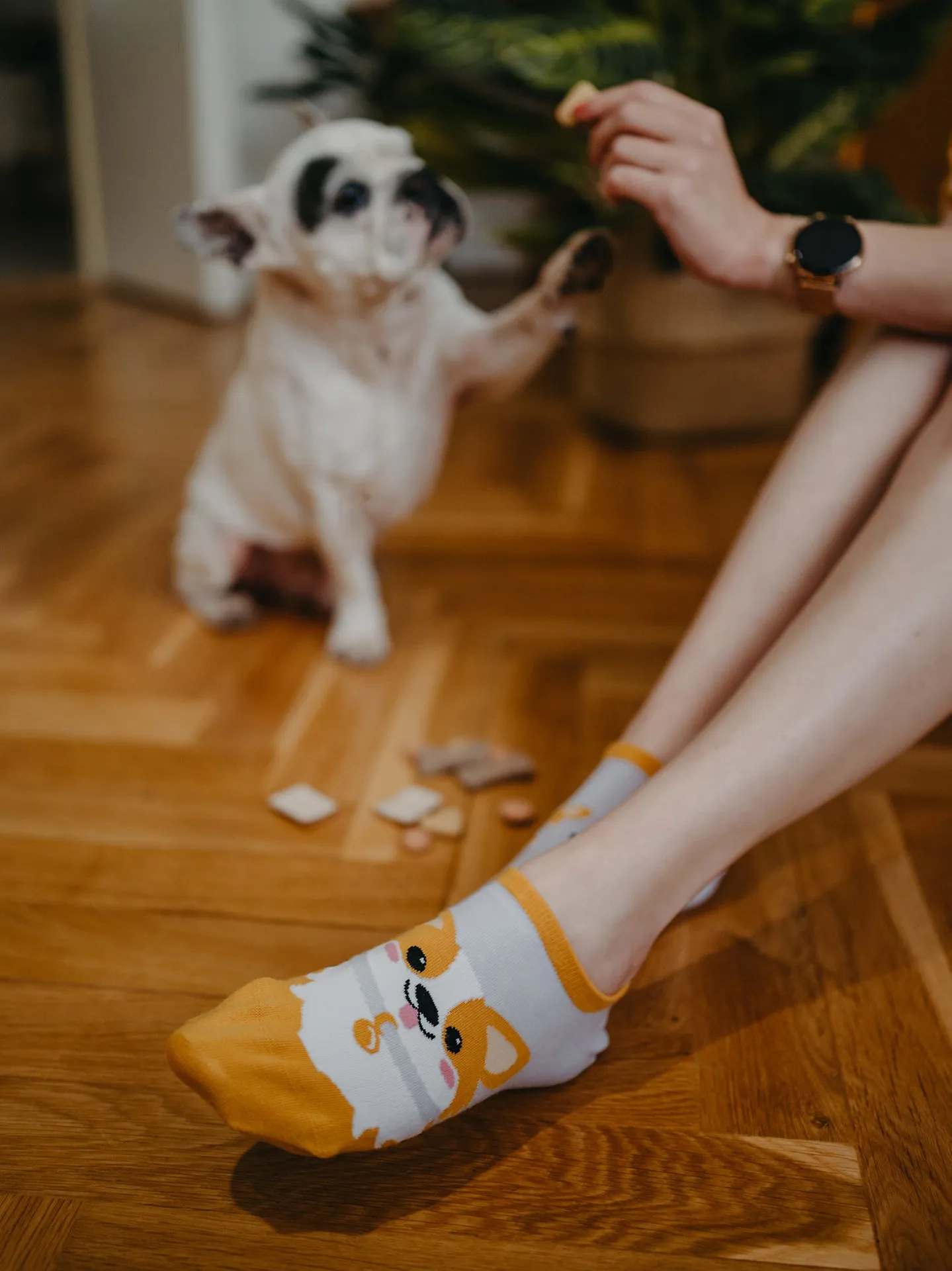 Vrolijke sneakersokken Corgi Dog - Image 6