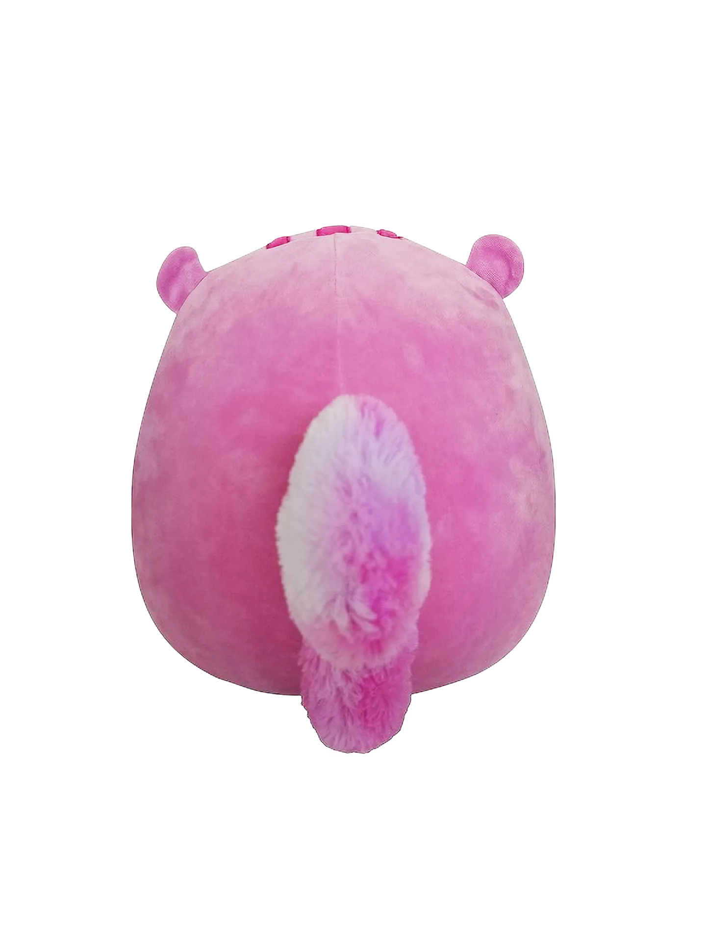 Squishmallows Allina de eekhoorn, 20 cm - Image 3