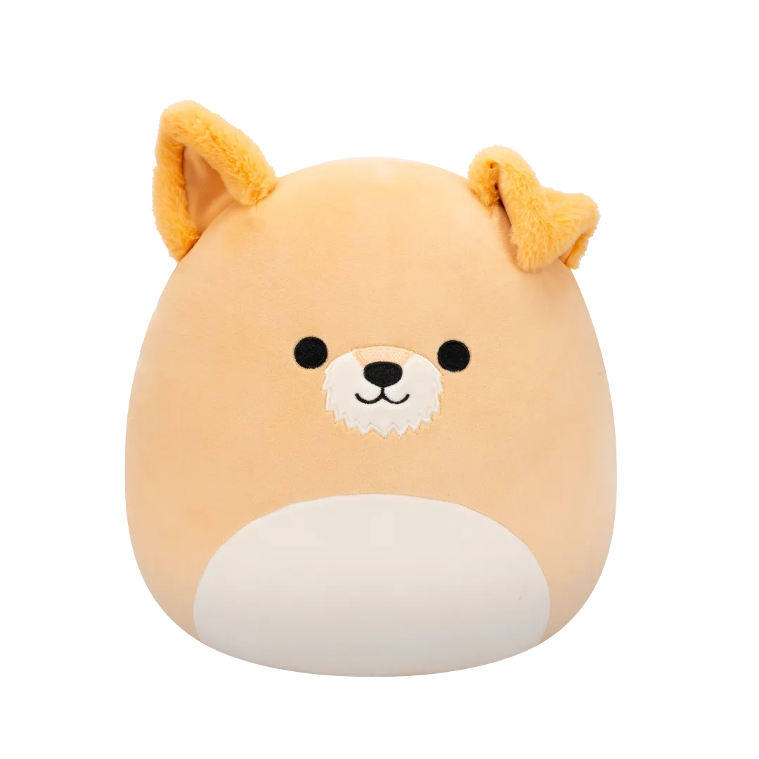 Squishmallows Cooper de bruine hond met witte buik, 30 cm