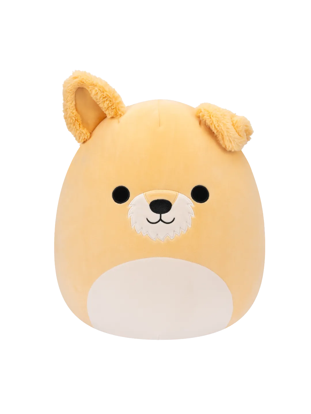 Squishmallows Cooper de witte hond, 35 cm