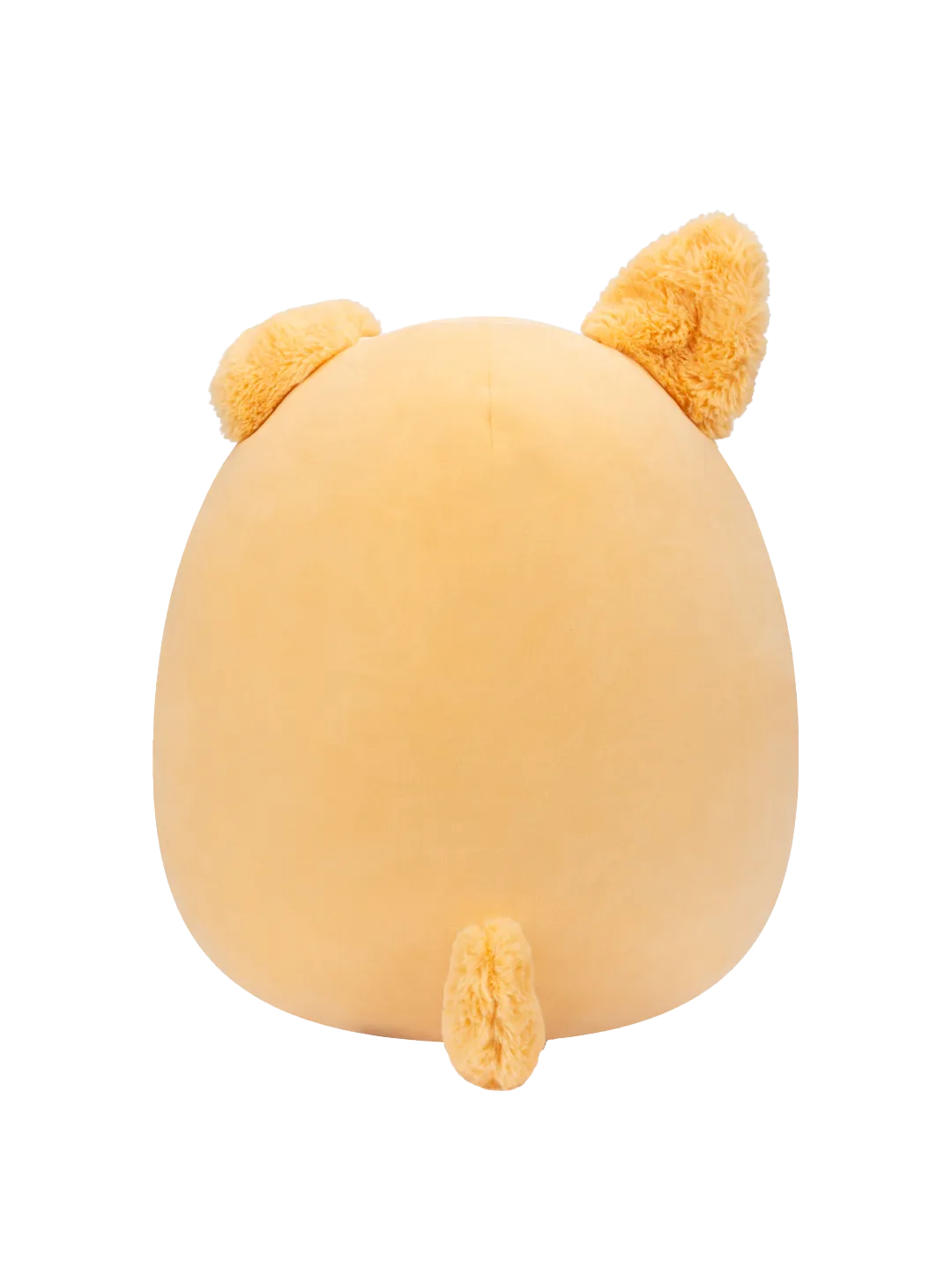 Squishmallows Cooper de witte hond, 35 cm - Image 2