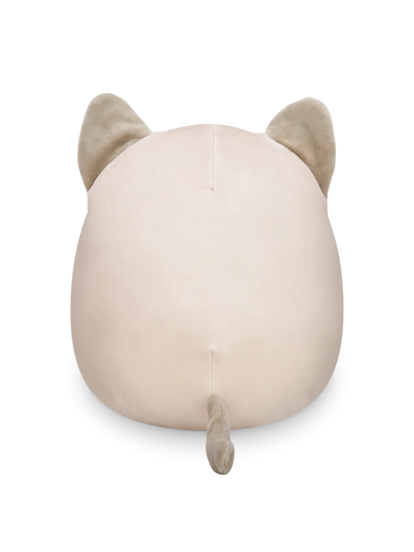 Squishmallows Felton de siamese kat, 20 cm - Image 3