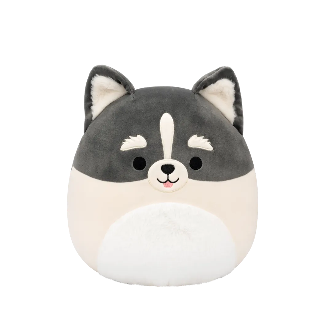 Squishmallows Paolo de grijs-witte pomsky, 30 cm