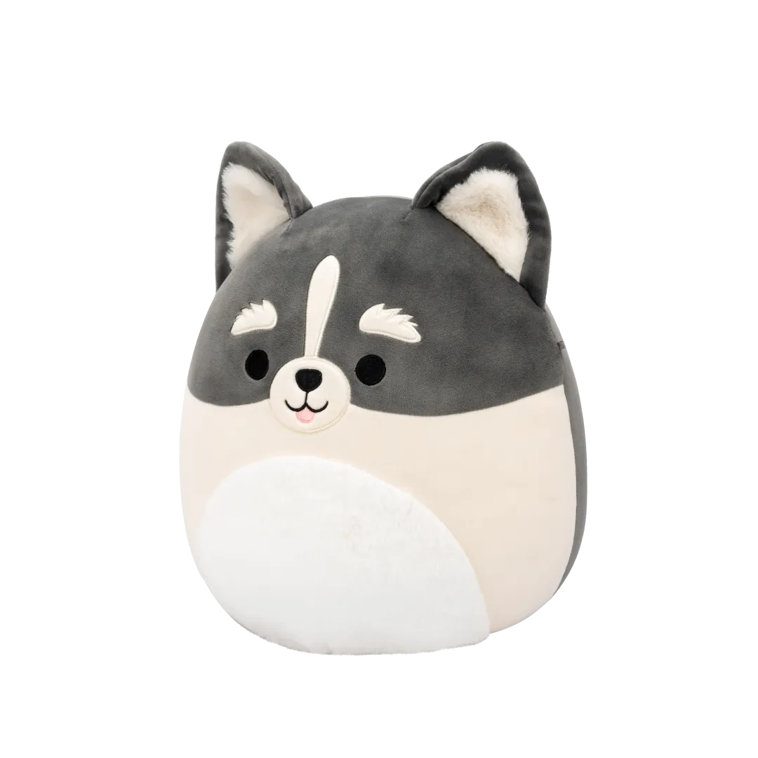 Squishmallows Paolo de grijs-witte pomsky, 30 cm - Image 3