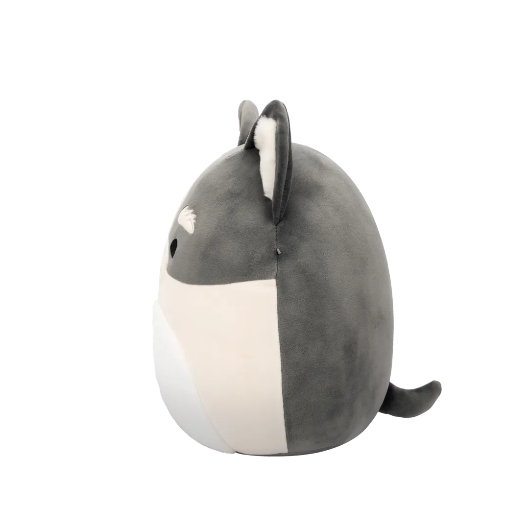 Squishmallows Paolo de grijs-witte pomsky, 30 cm - Image 4